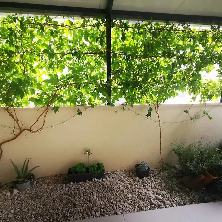 Apartman With Mediterranean Garden *